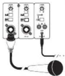 GEMINI WRX-843 - MICROFONOS CON CABLE - 1