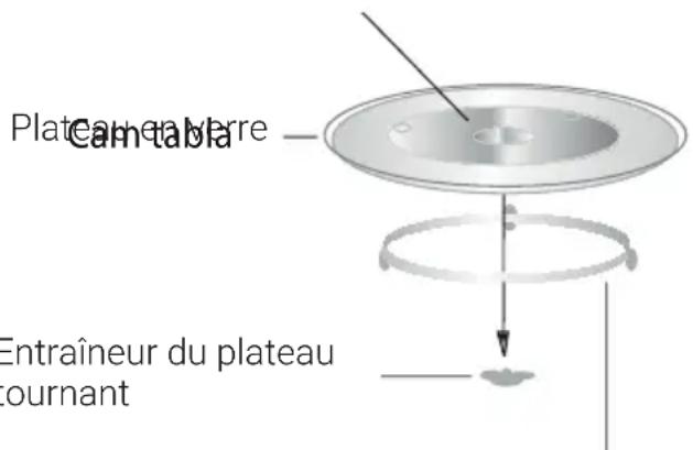 Plateau environné, cam-àba, entraîneur du plateau tournant