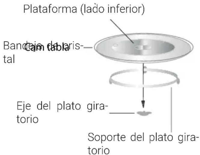 Plataforma (lado inferior) Bandejo de cristal Eje del plato giratorio Soporte del plato giratorio