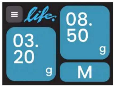 Ceado Life WAM - Display layout: - 1