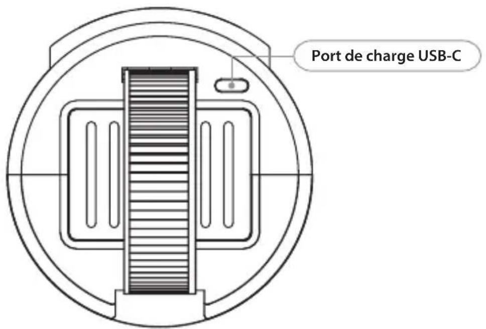 Luvion Baby Rocker - SPÉCIFICATIONS TECHNIQUES - 2