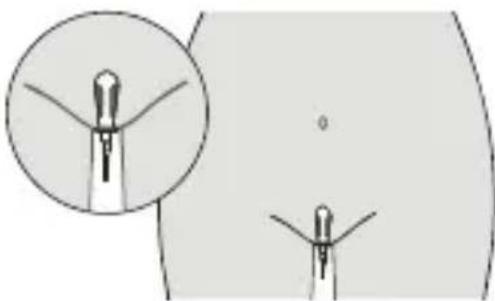Luvion Pelvic Floor Trainer - Bekkenbodemtraining met de Vaginale Sonde - 2