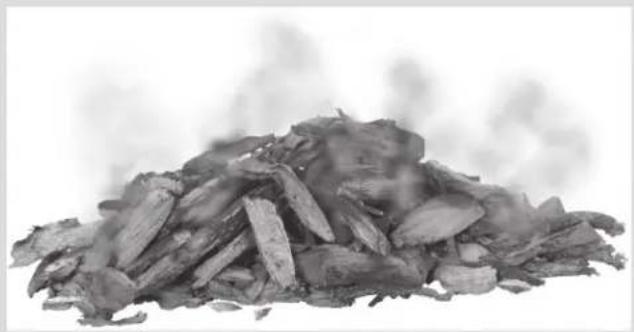 Char-Broil Performance FlavorMax 463463025 - Wood Chips - 1