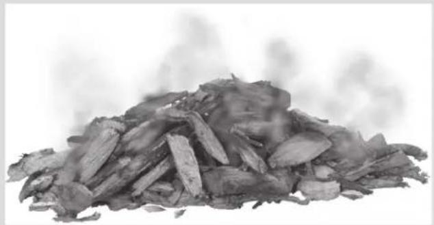 Char-Broil Performance FlavorMax 463348925 - Copeaux de bois - 1