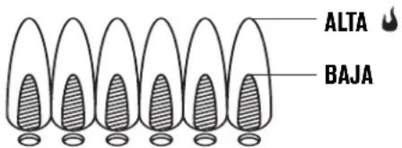 Char-Broil Performance 463814025 - Control de la llama del quemador - 1