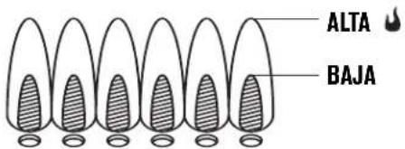 Char-Broil Performance 463814225 - Control de la llama del quemador - 1