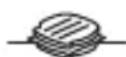 TEFAL Evidence GC5001 - BG - 2
