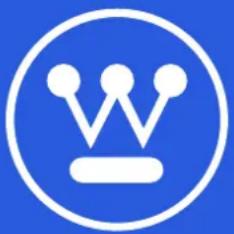 WESTINGHOUSE WChip3 - Inspection des LAMES de broyage - 1