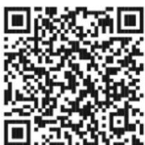 WESTINGHOUSE WChip3 - For Your Records - 1
