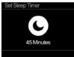PURE Classic Stereo Mini - Set Sleep Timer - 6