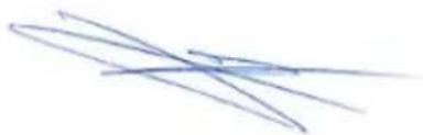 CECOTEC Bolero Squad G 2400F - DECLARATION OF CONFORMITY - 14