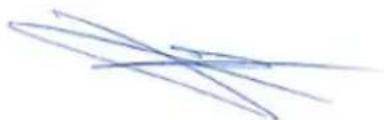CECOTEC Bolero Squad G 4400S - DECLARATION OF CONFORMITY - 14