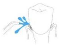 CECOTEC Bamba ToothCare Jet Pro - COPYRIGHT - 3