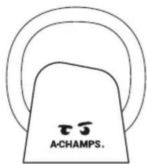 A-Champs ROXProX 1 - Wenn Sie mit einer ROXBase laden: - 2