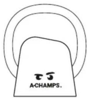 A-Champs ROXProX 1 - If you charge with a ROXBase: - 2