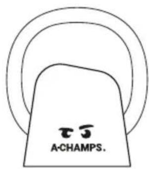 A-Champs ROXProX 1 - COMMENT CHARGER LE ROX - 1