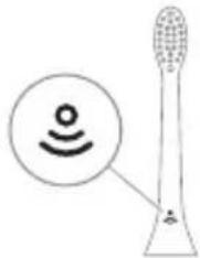 PHILIPS Sonicare 7000 Series HX7439 - Technologie BrushSync - 1