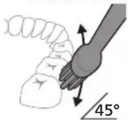 PHILIPS Sonicare 1100 HX3902 - Instructions de brossage - 3