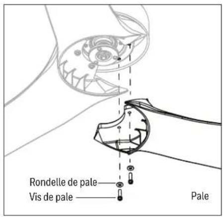 Rondelle de pale Vis de pale Pale