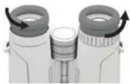 GPO Passion ED 8x32 - Eyecup adjustment - 2