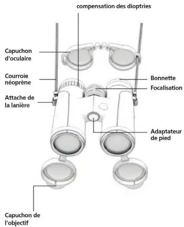 GPO Passion ED 8x32 - Informations pour une utilisation en toute sûrete - 6