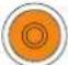 Powersoft X4L - update-version#-model.bin - 5