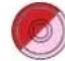 Powersoft X4L - update-versione#-modello.bin - 10