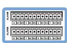 Powersoft Ottocanali 4K4 DSP+D - 数字音频输入连接 - 14