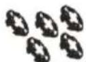 CANDY EY 29GG8-S - Accesorios - 2