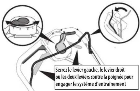 TROY-BILT TB200B - Commande d'entraînement à deux leviers - 1