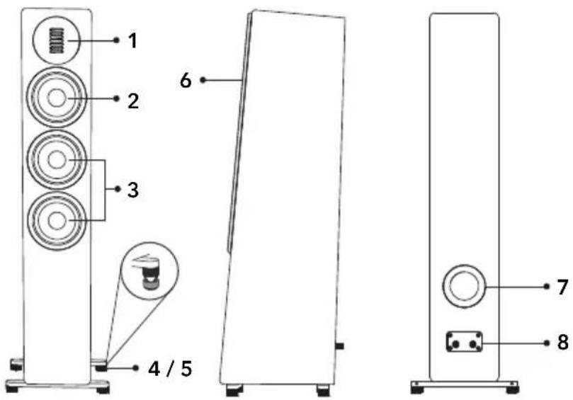 SONORO Orchestra Shaped Signature - Front and Side View Rear View - 1