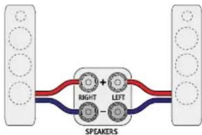 SONORO Orchestra Shaped Signature - CONNECTING THE SPEAKER - 1