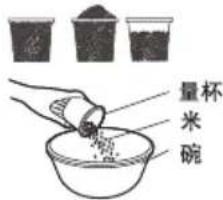 量杯 米 碗