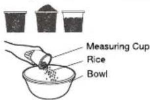 Measuring Cup Rice Bowl