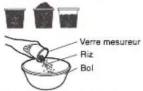 Verre mesureur Riz Bol