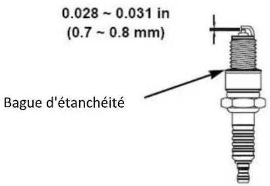 0.028 ~ 0.031 in (0.7 ~ 0.8 mm) Bague d'étanchéité