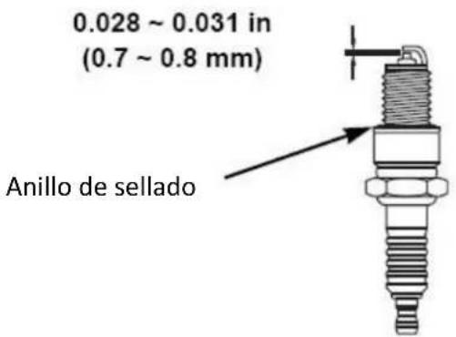 0.028 ~ 0.031 in (0.7 ~ 0.8 mm) Anillo de sellado