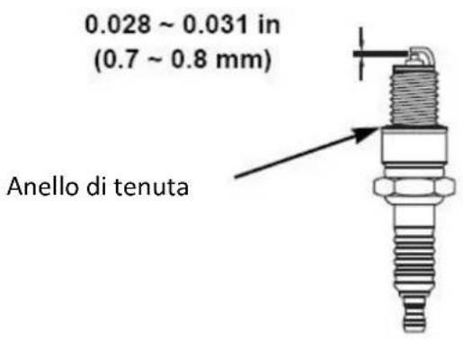 0.028 ~ 0.031 in (0.7 ~ 0.8 mm) Anello di tenuta
