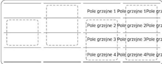 SAMSUNG NZ85C6058FK - Panel Flex Plus (tylko modele z funkcją panelu Flex Plus) - 2