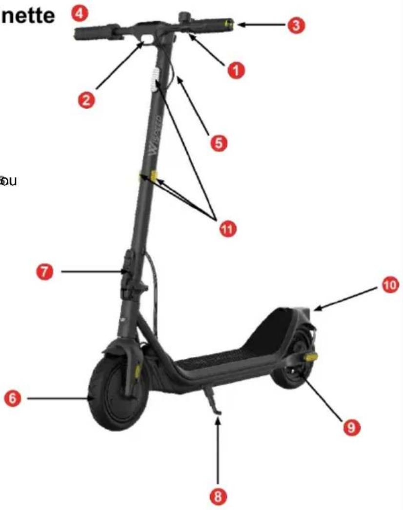WISPEED C10-55 MAX - Description de la trottinette - 2