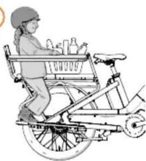 Urban Arrow Breeze - Footrests, no protection bar, no backrest, no seat cushion, no children's seat, luggage - 4