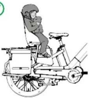 Urban Arrow Breeze - Examples of passenger transport - 1