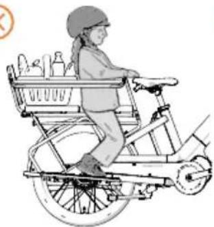 Urban Arrow Breeze - Repose-pieds, pas de barre de protection, pas de dossier, pas de coussin de siège, 1 siège enfant, pas de bagages, passager avant - 6
