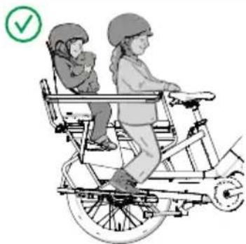 Urban Arrow Breeze - Fotstöd, ingen Protection bar, ingen sittdyna, inget bagage, två passagerare - 1