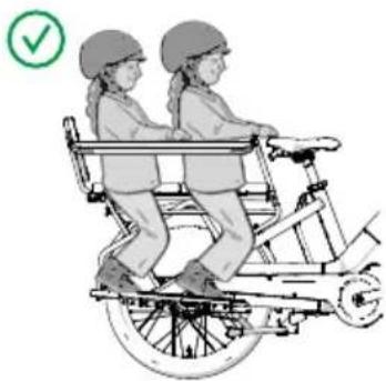 Urban Arrow Breeze - Fotstöd, ingen Protection bar, ingen sittdyna, inget bagage, två passagerare - 2