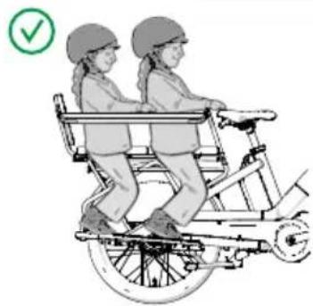 Urban Arrow Breeze - Voetsteunen, Protection bar, geen rugleuning, 1 zitkussen, 1 kinderzitje, geen bagage - 1