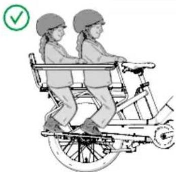 Urban Arrow Breeze - Repose-pieds, barre de protection, pas de dossier, coussin de siège, 1 siège enfant, pas de bagages - 1