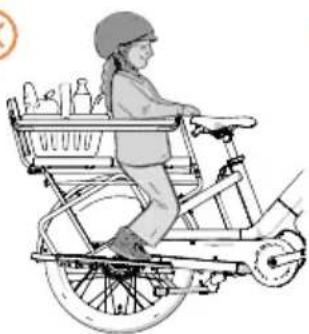 Urban Arrow Breeze - Footrests, no protection bar, no backrest, no seat cushion, no children's seat, luggage - 2