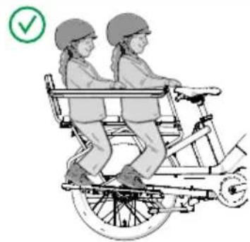 Urban Arrow Breeze - Fodstøtter, Protection Bar, intet ryglæn, 1 sædehynde, 1 barnestol, ingen bagage - 1