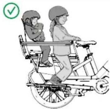 Urban Arrow Breeze - Footrests, no protection bar, no seat cushion, no luggage, 2 passengers - 1
